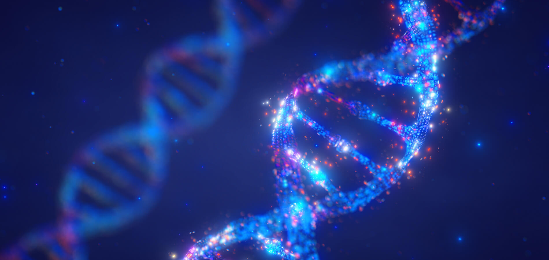 Accelerating Biomedical Breakthroughs