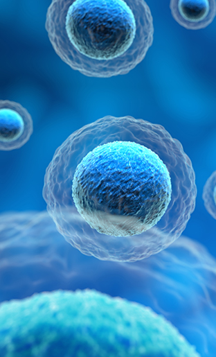 Drug Discovery & Characterization