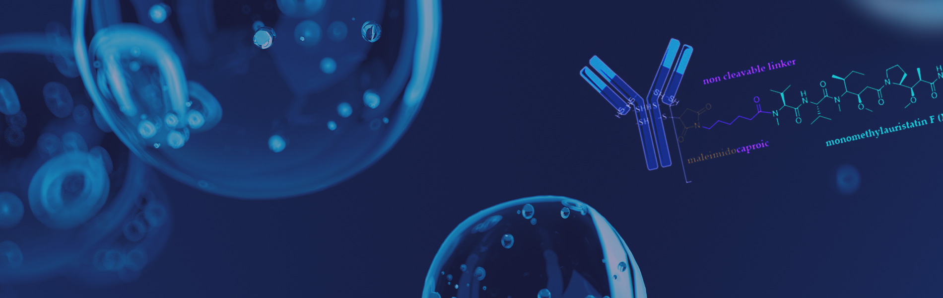 One-Stop Platform for CMC of ADC Drugs