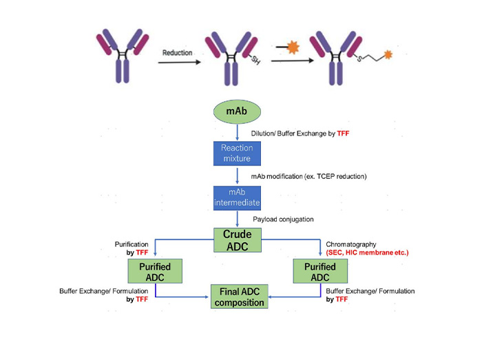 Chemical Conjugation Technologies