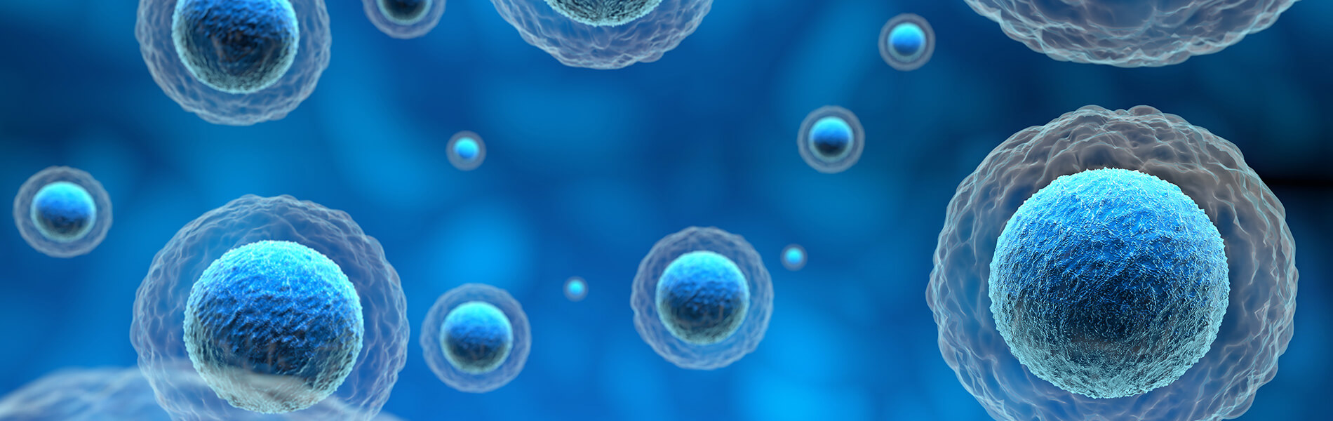 HiLand Biosciences | Global CRO for IND-Enabling Non-Clinical & CMC Development