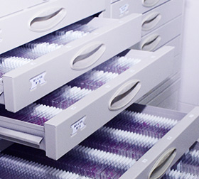 HiLand Biosciences | Global CRO for IND-Enabling Non-Clinical & CMC Development