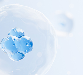 HiLand Biosciences | Global CRO for IND-Enabling Non-Clinical & CMC Development