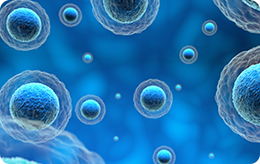 HiLand Launches Exosome Process Development Program to Advance Next-Generation Therapeutics