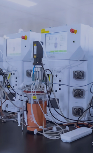 CMC & Process Development