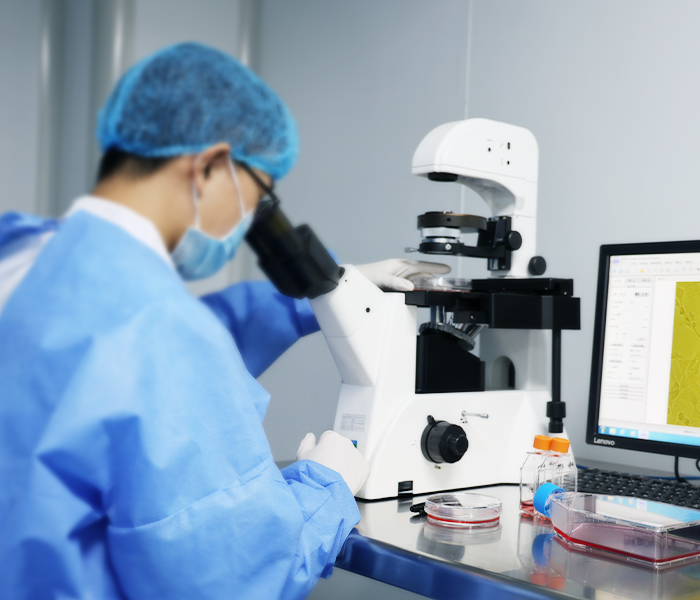 Cell Line Development