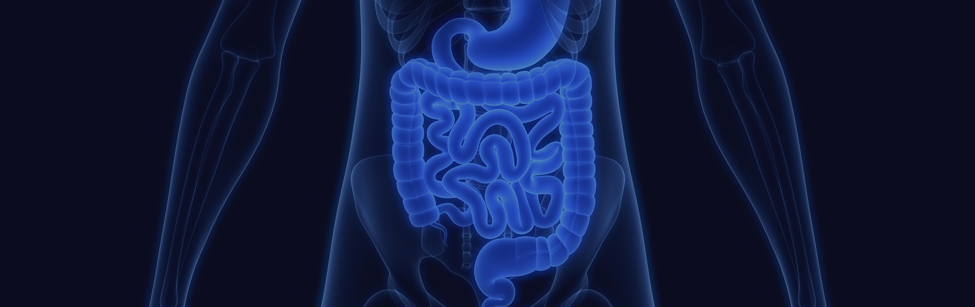 Models of Digestive Diseases