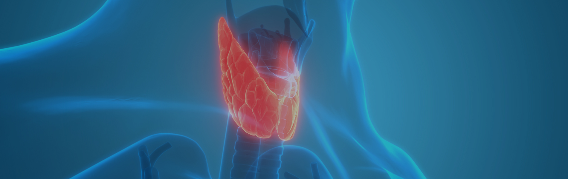Endocrine and Metabolic Disease Models 