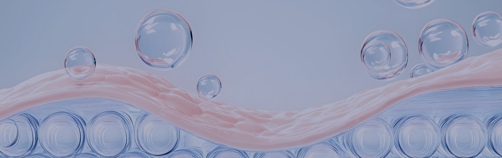 Cell Therapy Products
